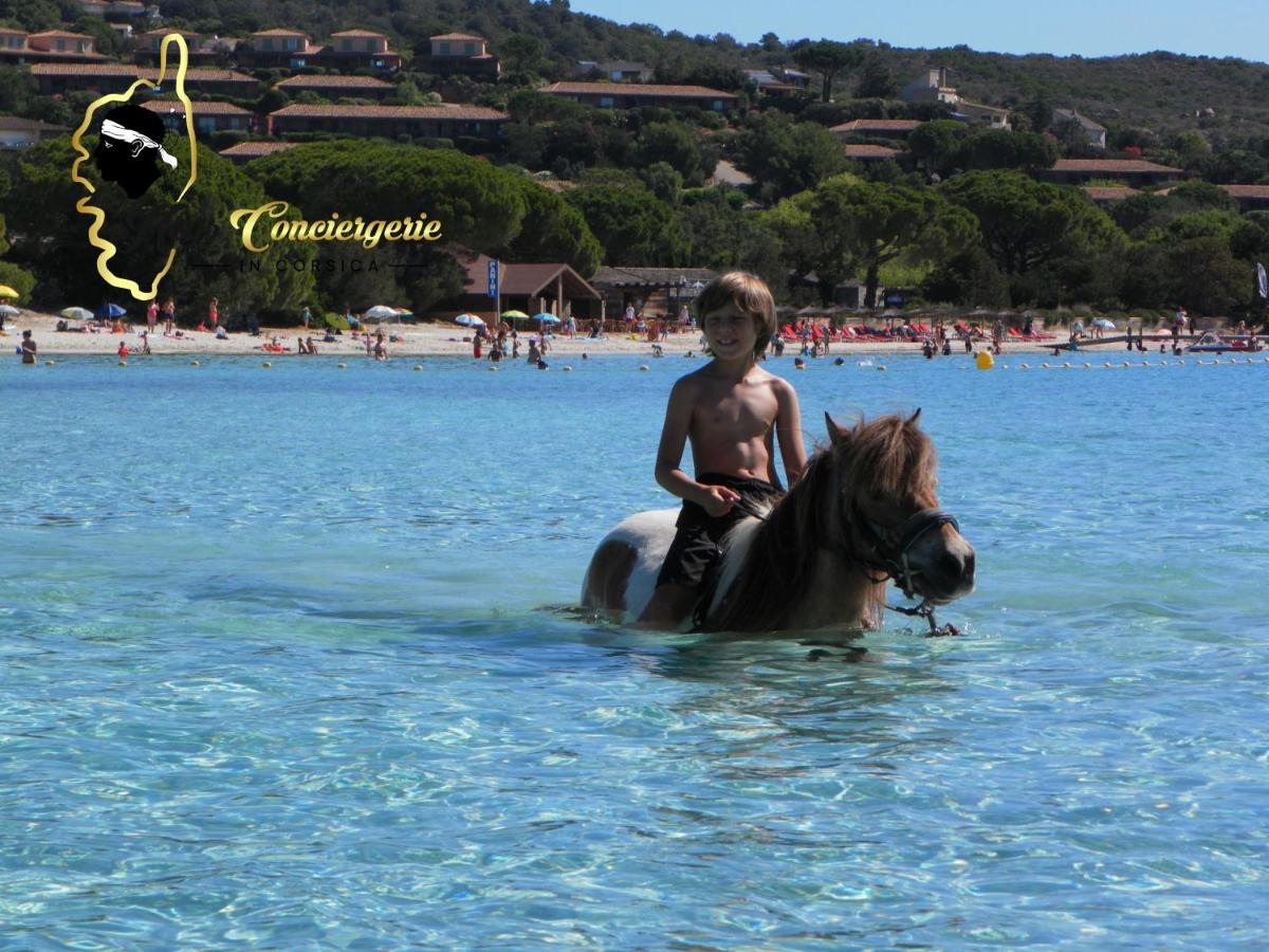 Residence Cala Sultana N62 - 4 Pers Avec Piscine Chauffee- Acces Prive A La Plage De Santa Giulia Порто-Веккьо Экстерьер фото